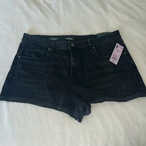 High rise rolled cuff shorts
